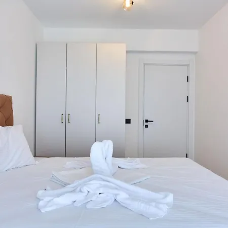 By Alz Infinity Navodari